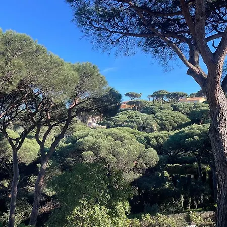 Tres Beau Duplex, 2 Chambres, Parking Prive, A 5 Minutes Apartment *