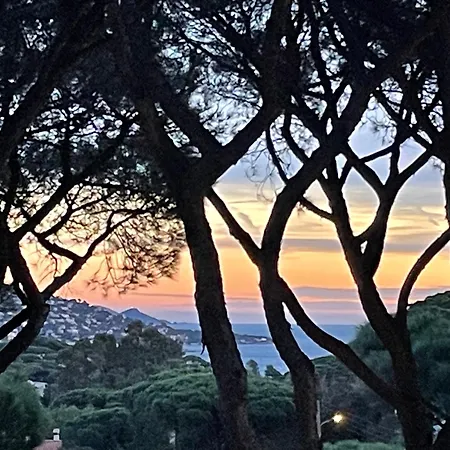 Apartment Tres Beau Duplex, 2 Chambres, Parking Prive, A 5 Minutes Sainte-Maxime
