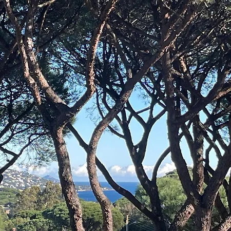 Tres Beau Duplex, 2 Chambres, Parking Prive, A 5 Minutes * Sainte-Maxime