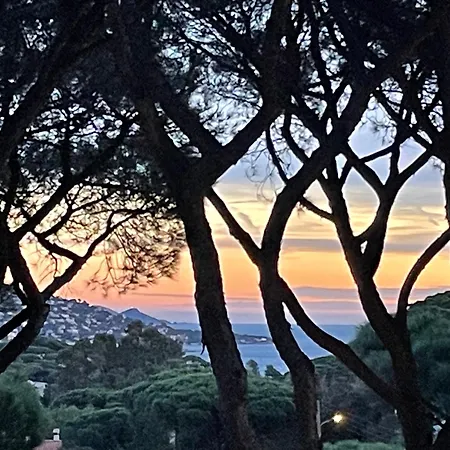 Daire Tres Beau Duplex, 2 Chambres, Parking Prive, A 5 Minutes Sainte-Maxime