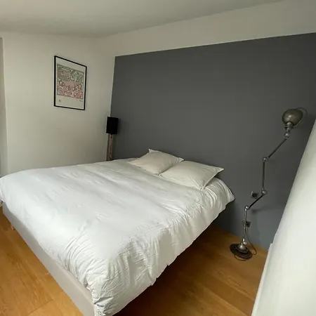 Tres Beau Duplex, 2 Chambres, Parking Prive, A 5 Minutes Daire