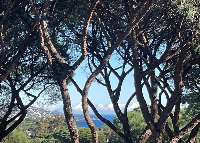 Très Beau Duplex, 2 Chambres, Parking Privé, à 5 Minutes * Sainte-Maxime